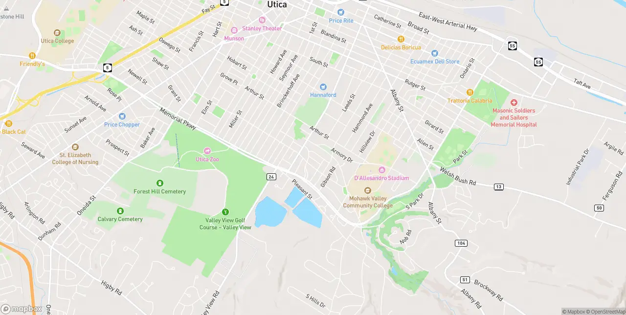 Internet in Utica