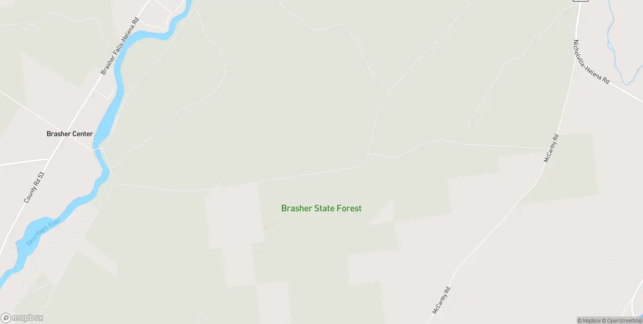 Internet in Brasher Falls