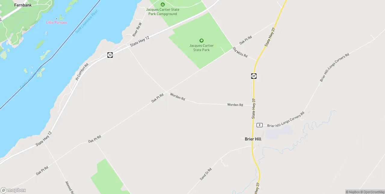 Internet in Brier Hill