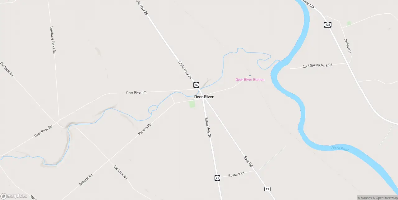 Internet in Deer River