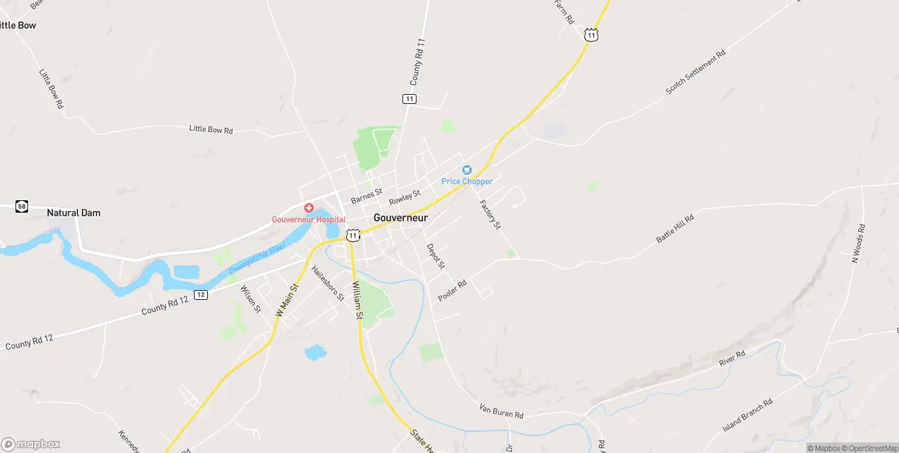 Internet in Gouverneur