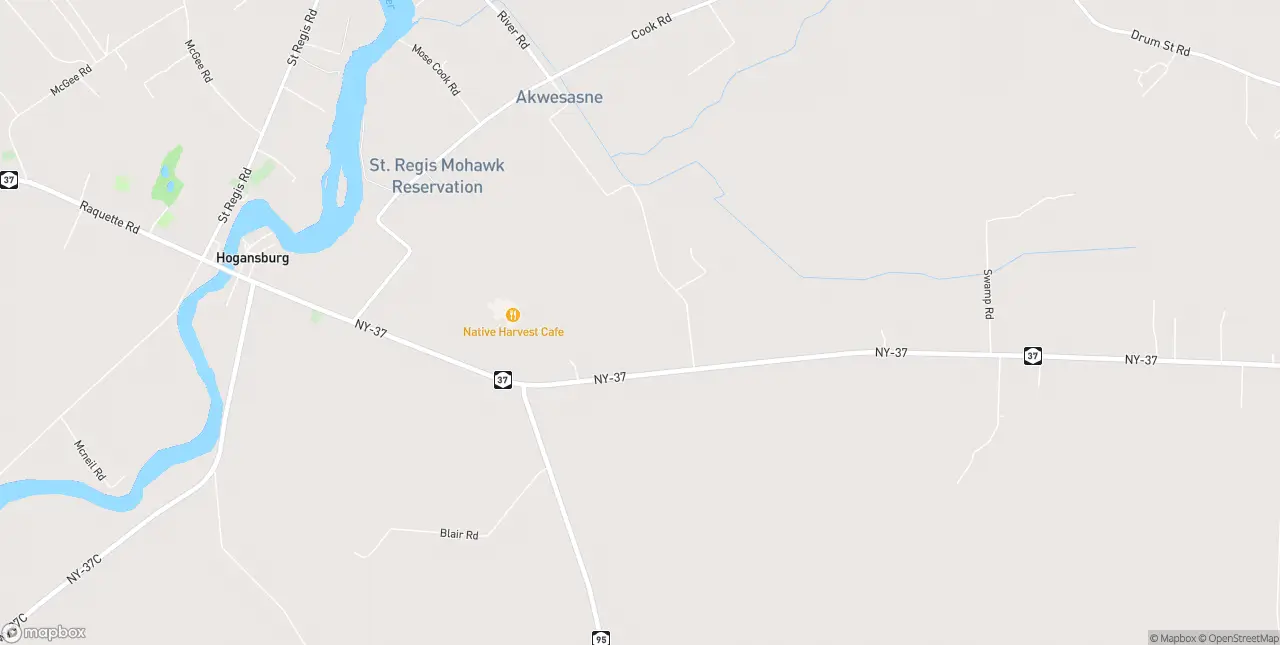 Internet in Hogansburg