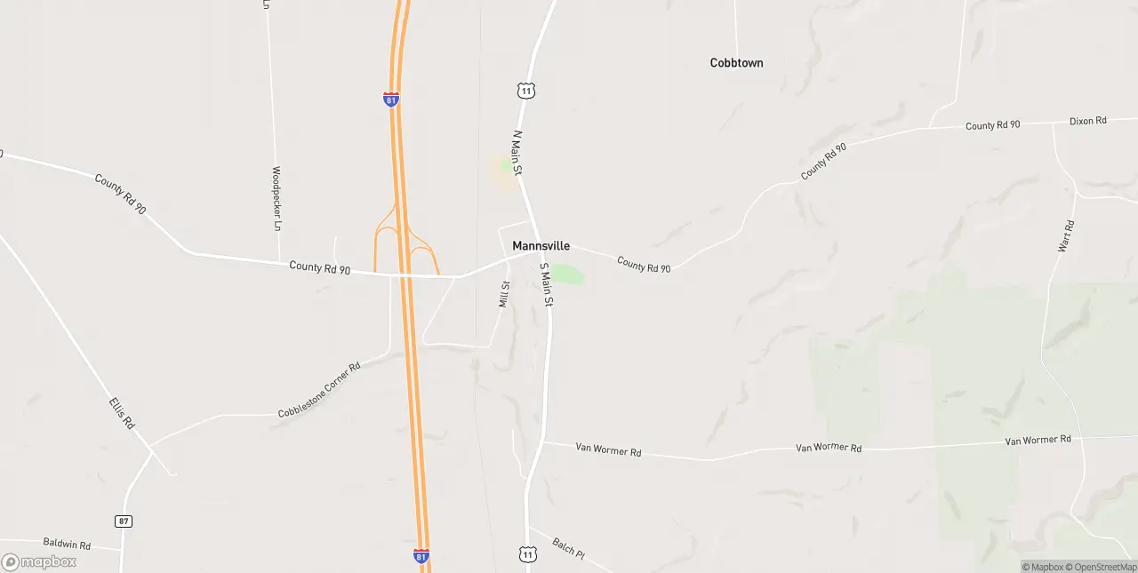 Internet in Mannsville