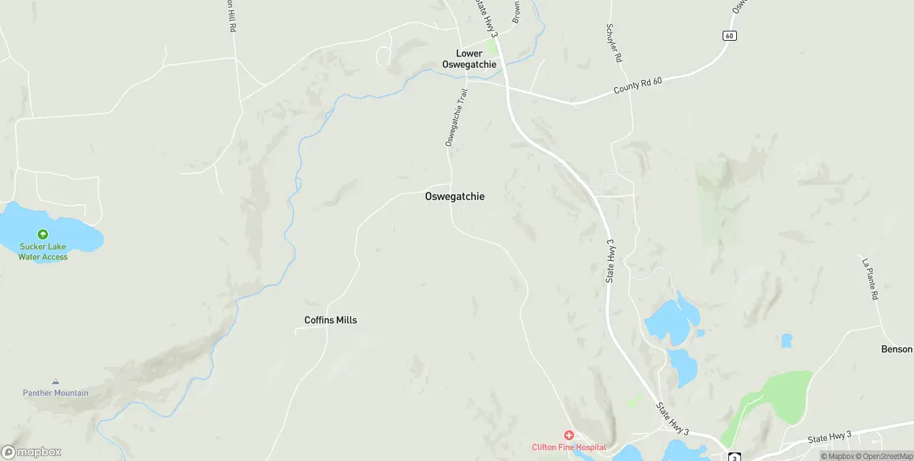 Internet in Oswegatchie