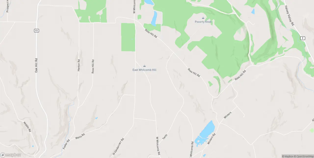Internet in Barton