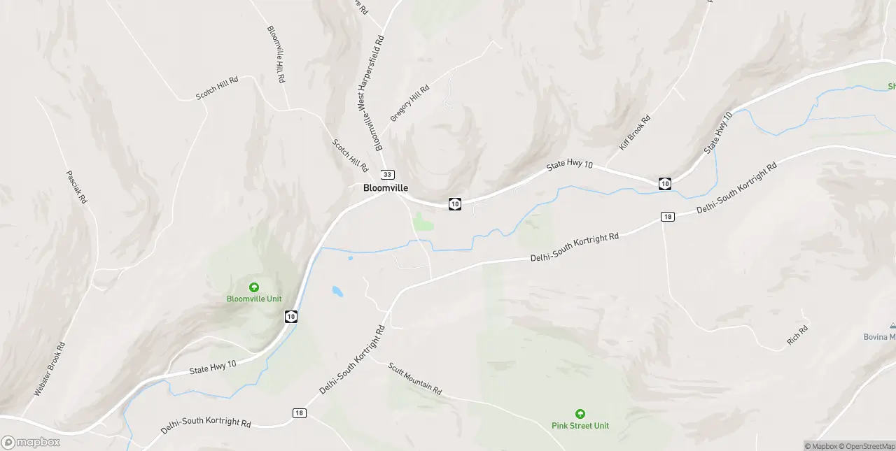 Internet in Bloomville