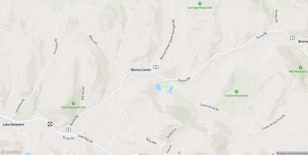 Internet in Bovina Center