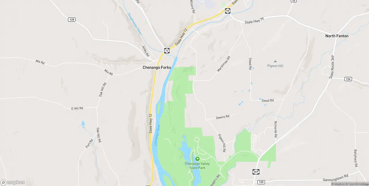 Internet in Chenango Forks