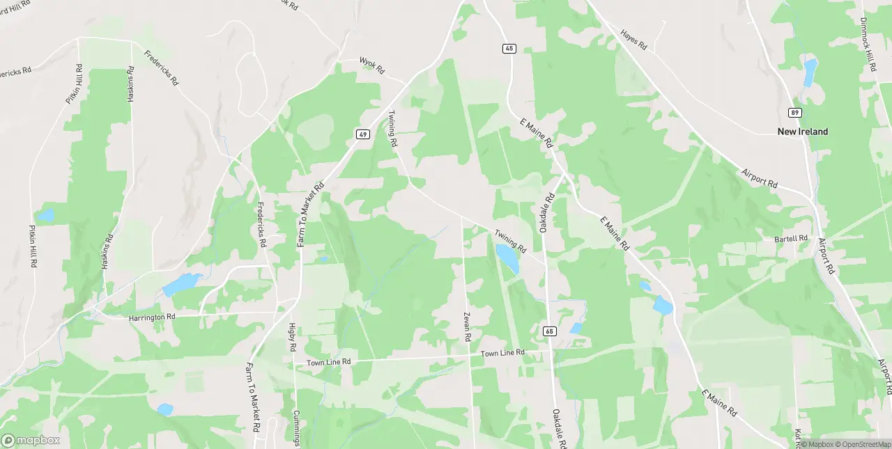 Internet in Johnson City
