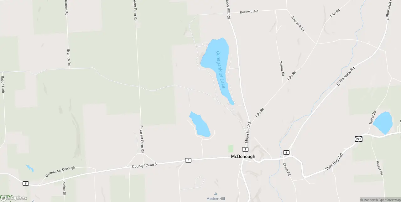 Internet in Mcdonough