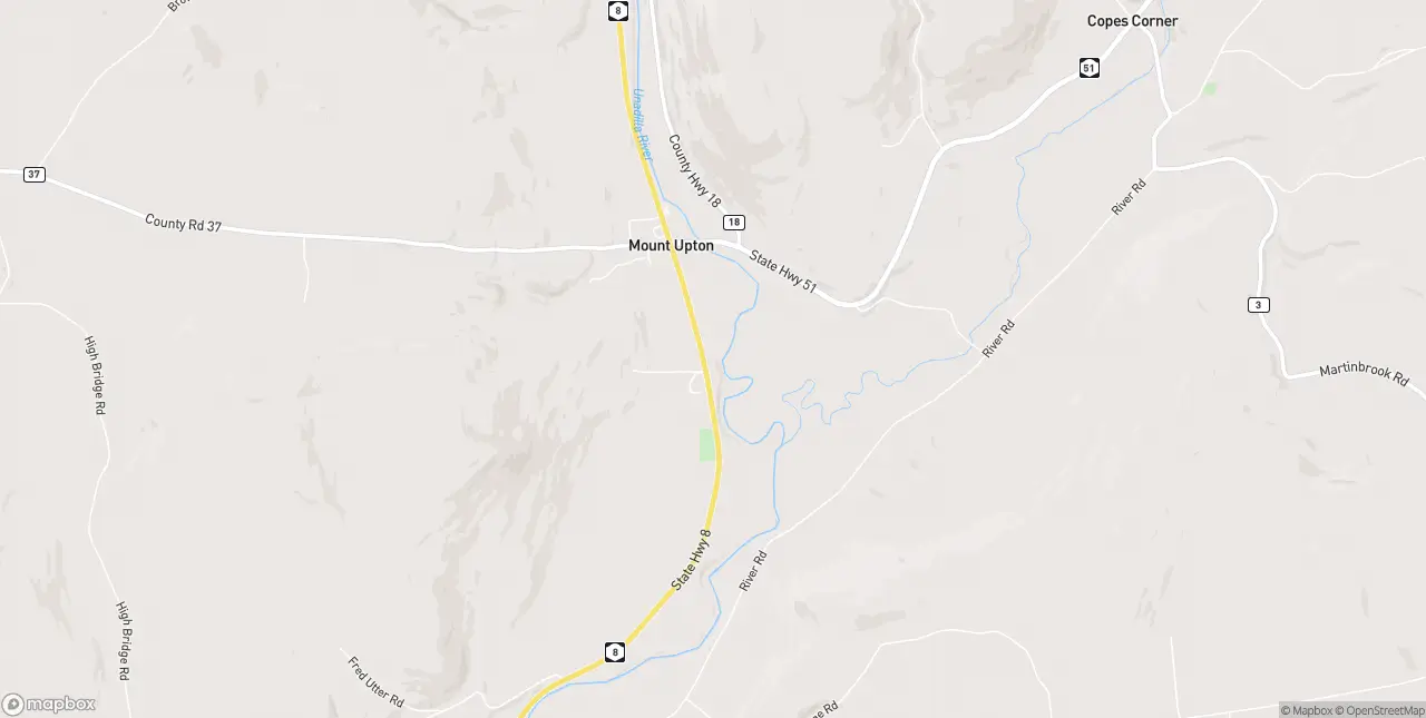 Internet in Mount Upton
