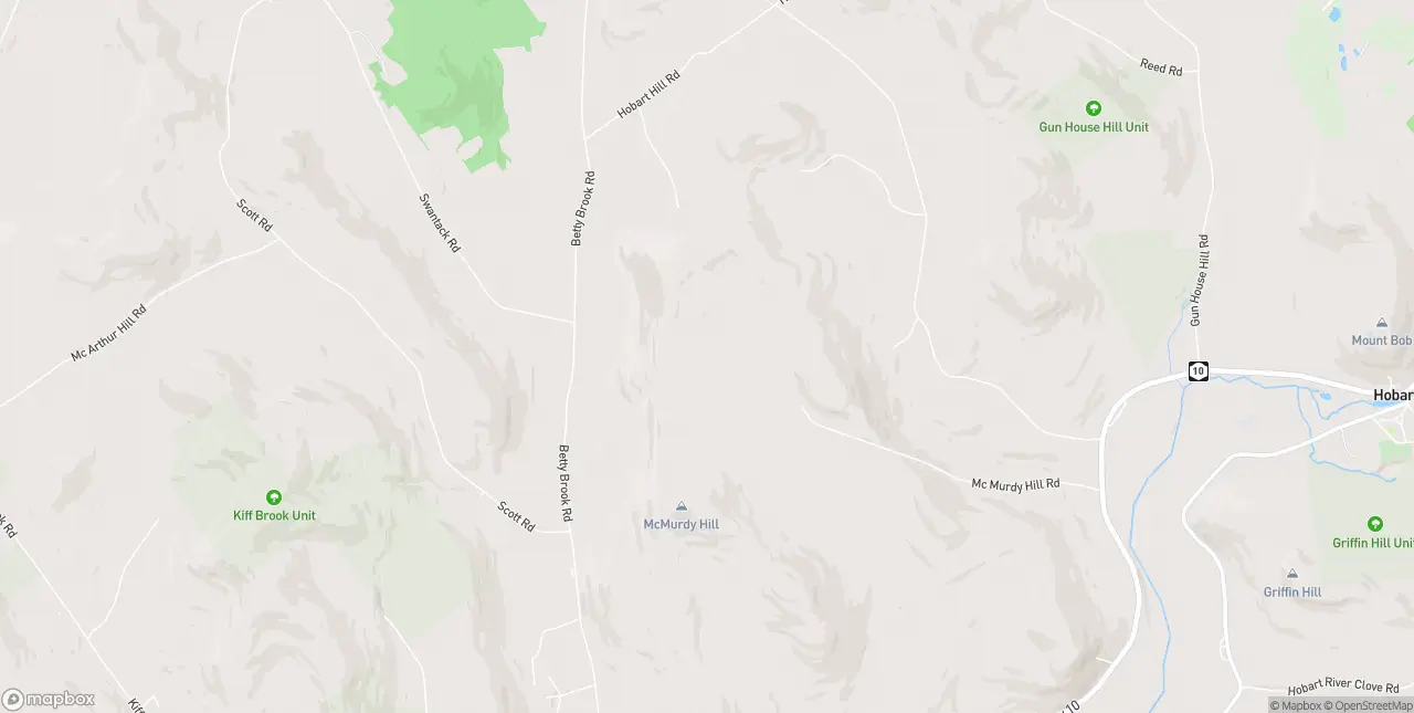 Internet in South Kortright
