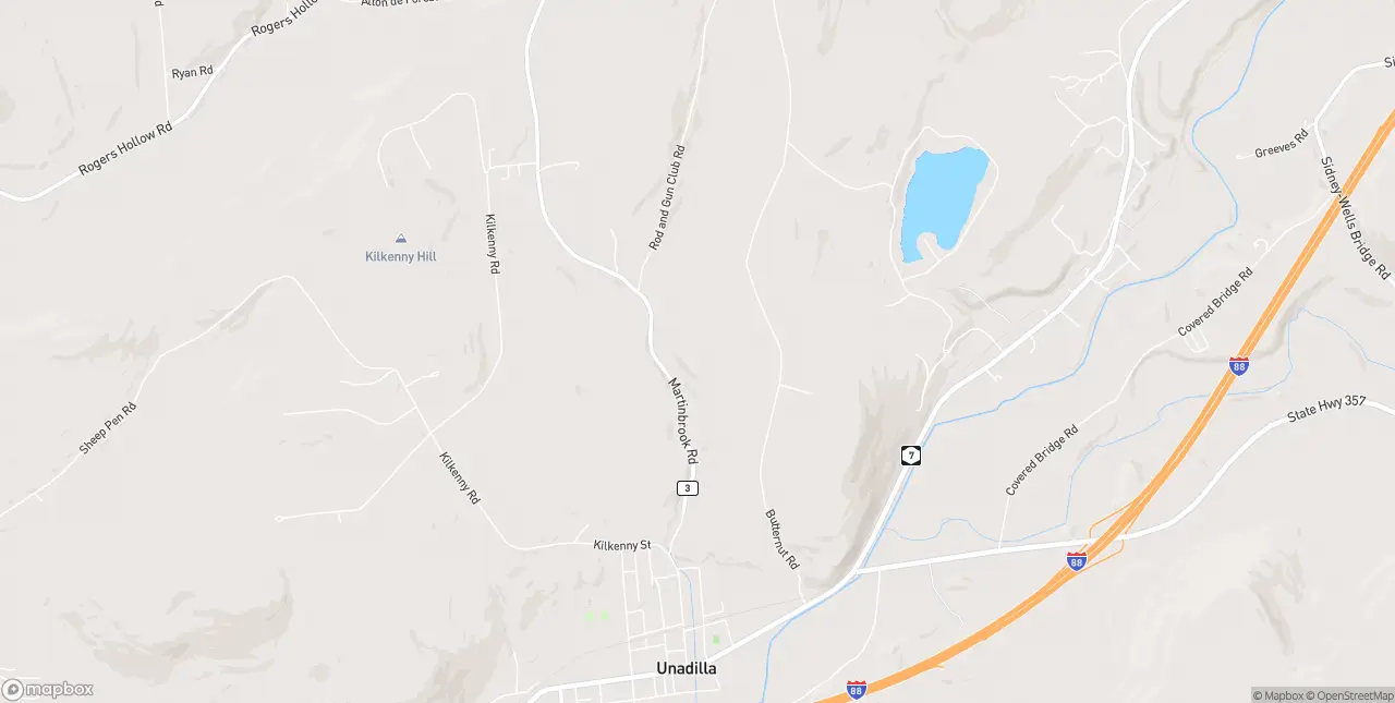 Internet in Unadilla