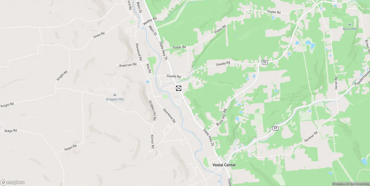Internet in Vestal