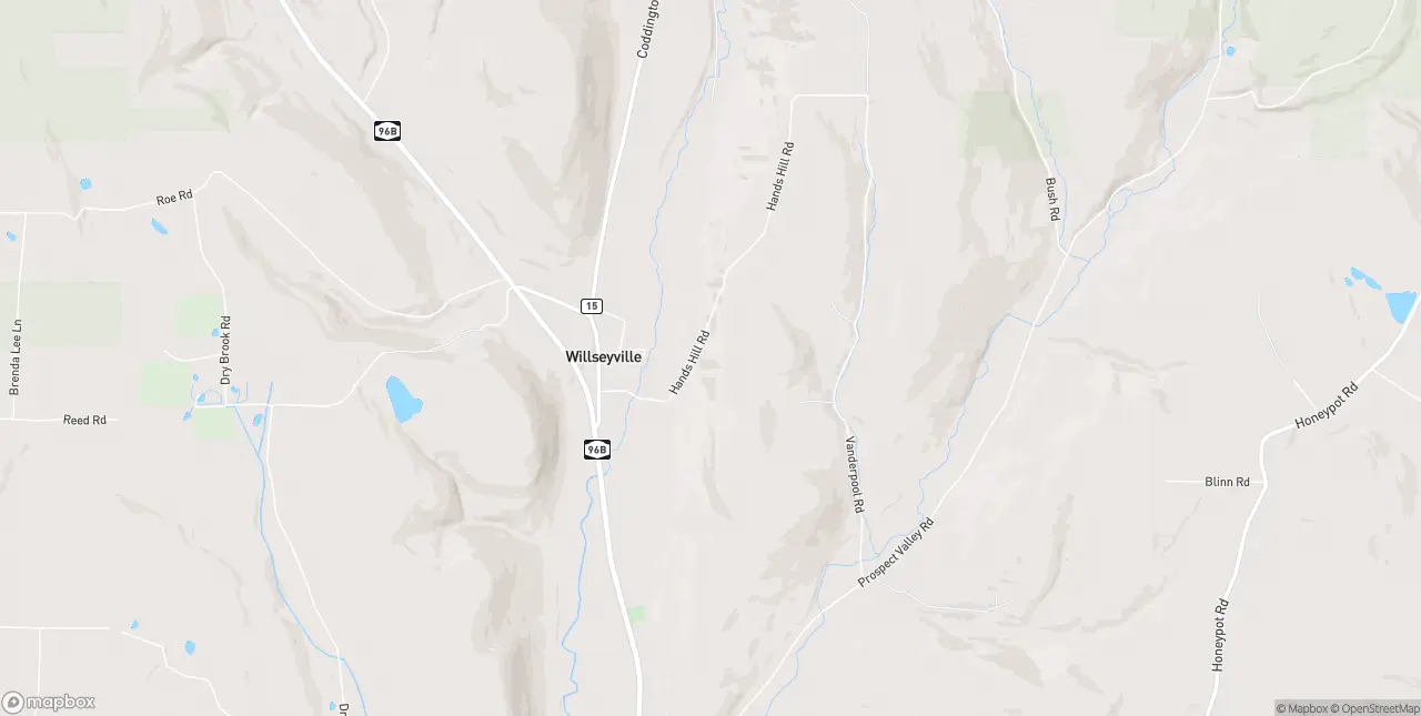 Internet in Willseyville