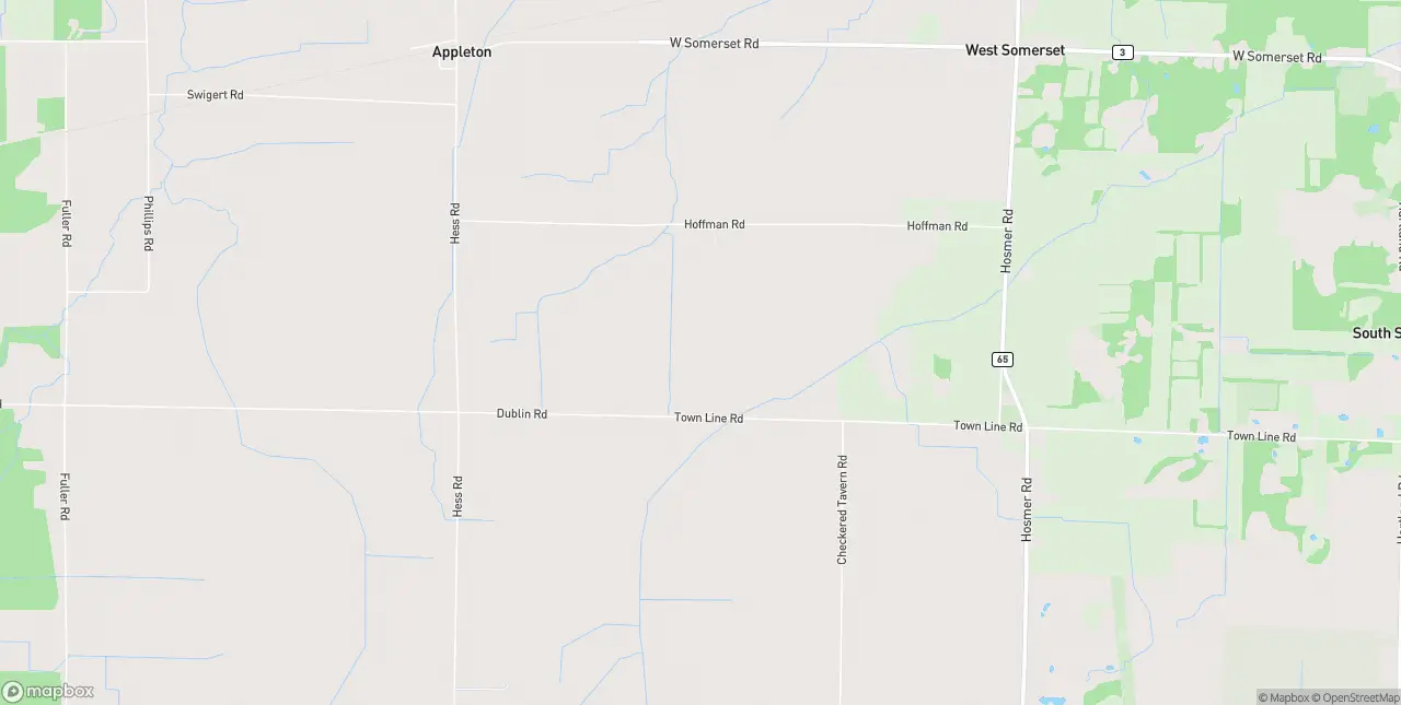 Internet in Appleton