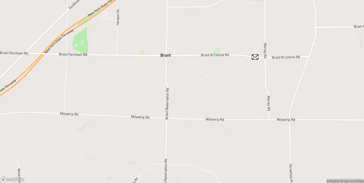 Internet in Brant