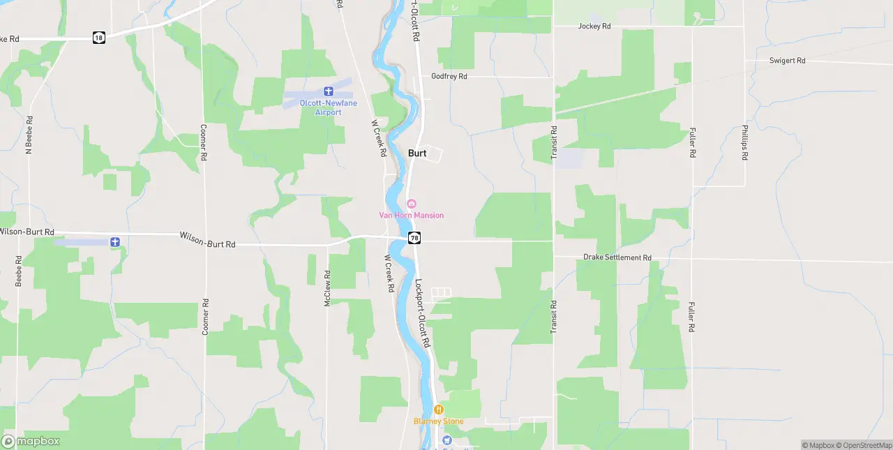 Internet in Burt