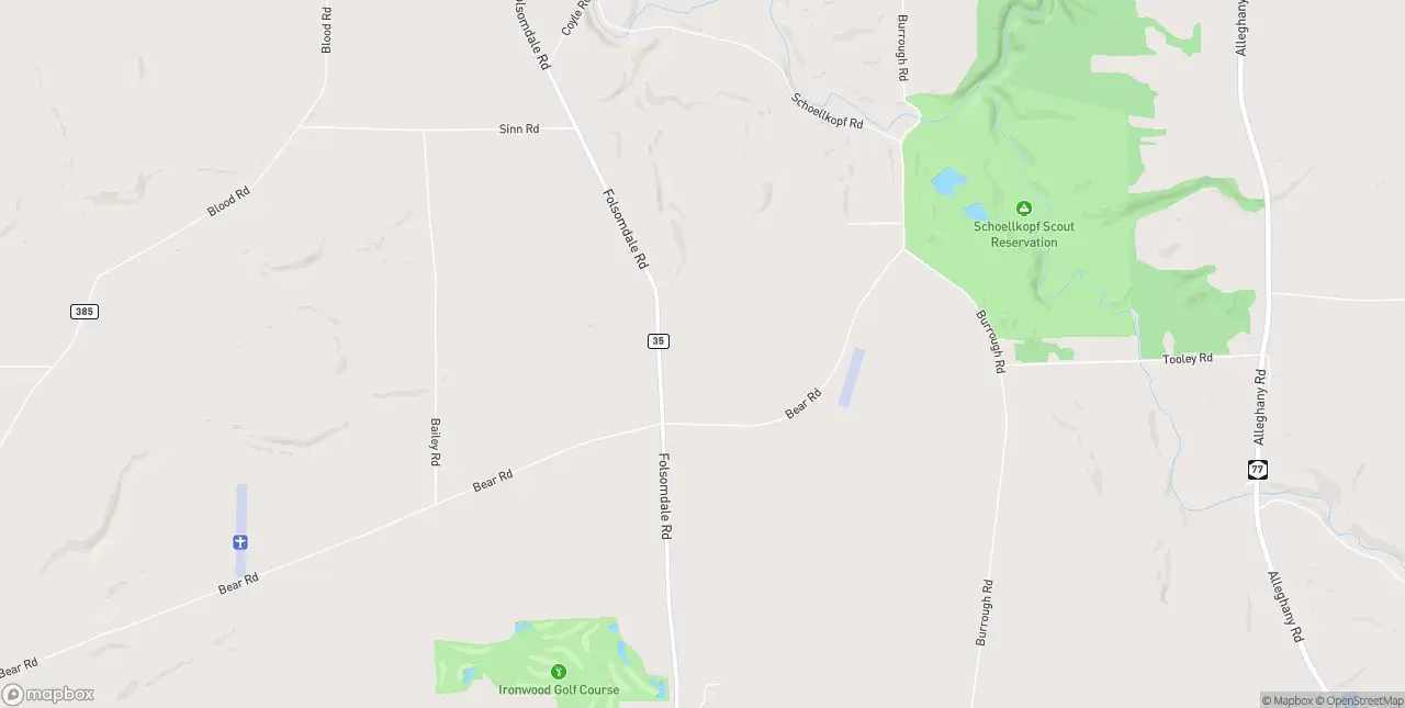 Internet in Cowlesville