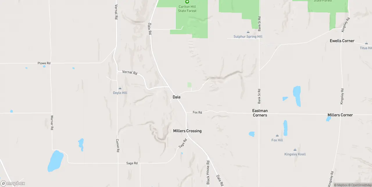 Internet in Dale
