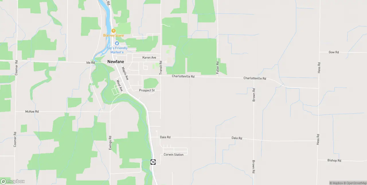 Internet in Newfane