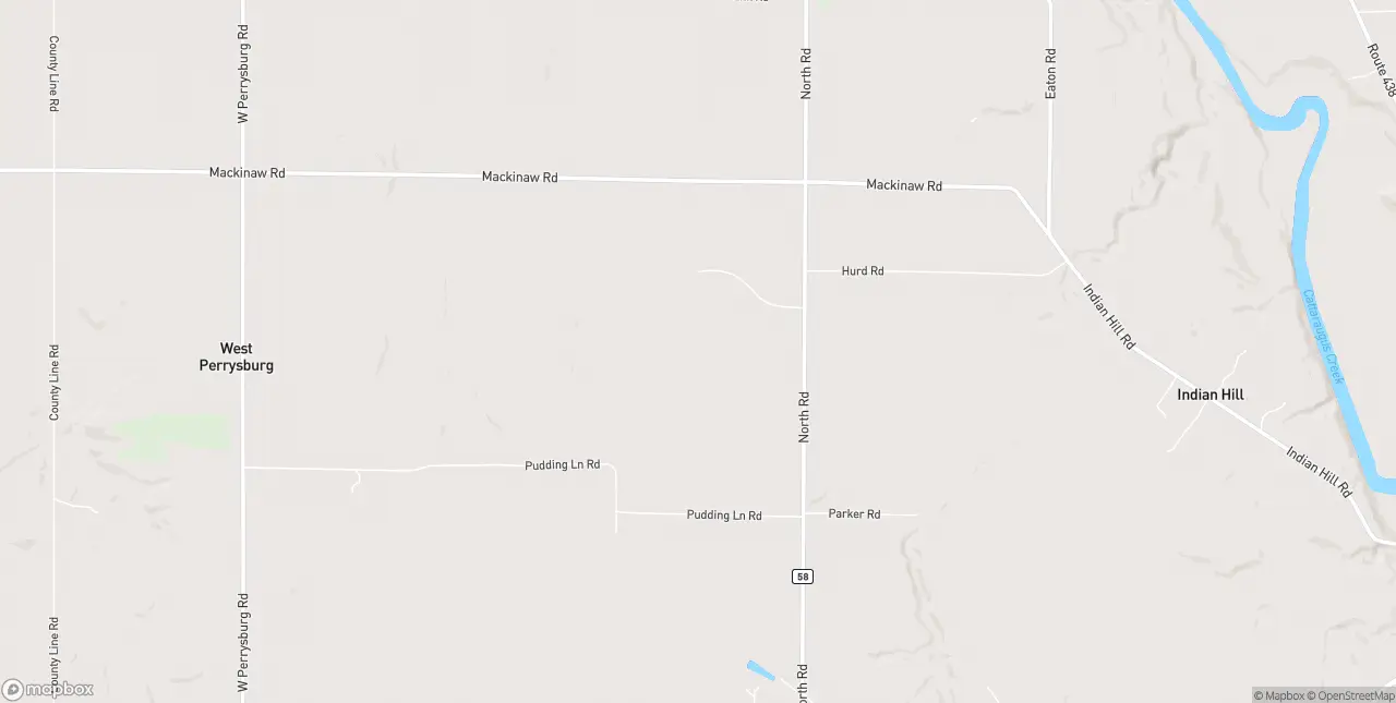 Internet in Perrysburg