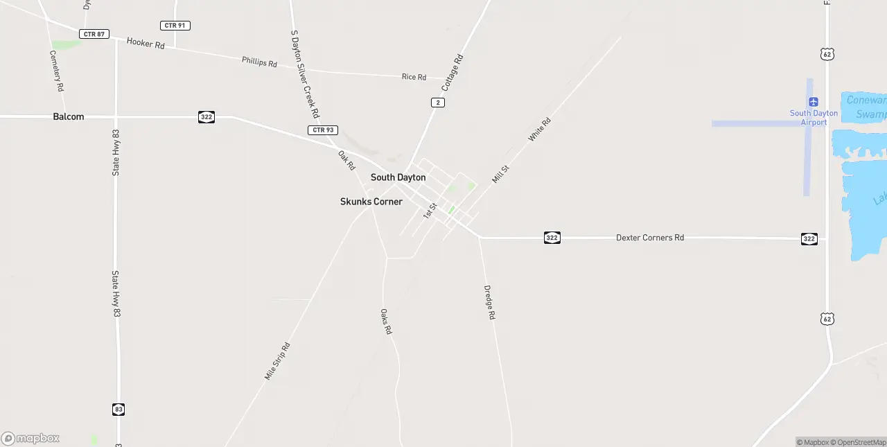 Internet in South Dayton