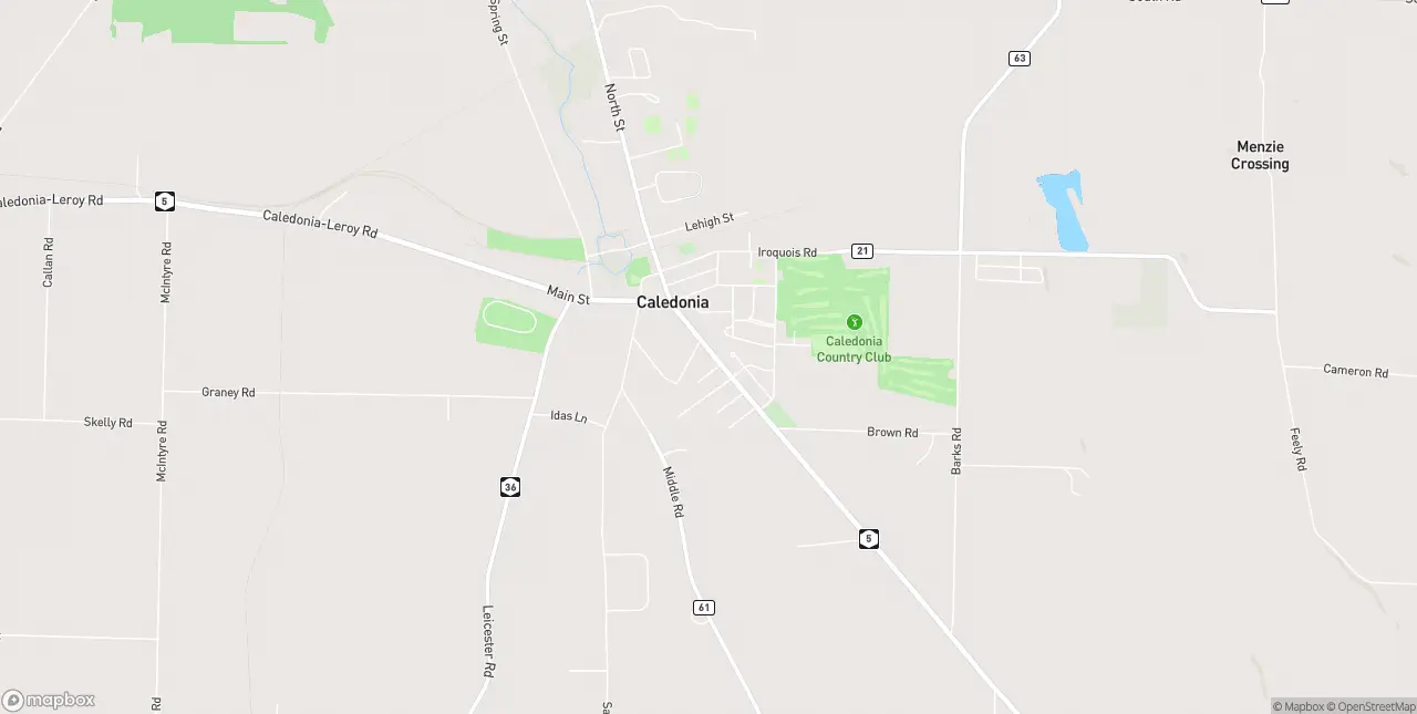 Internet in Caledonia