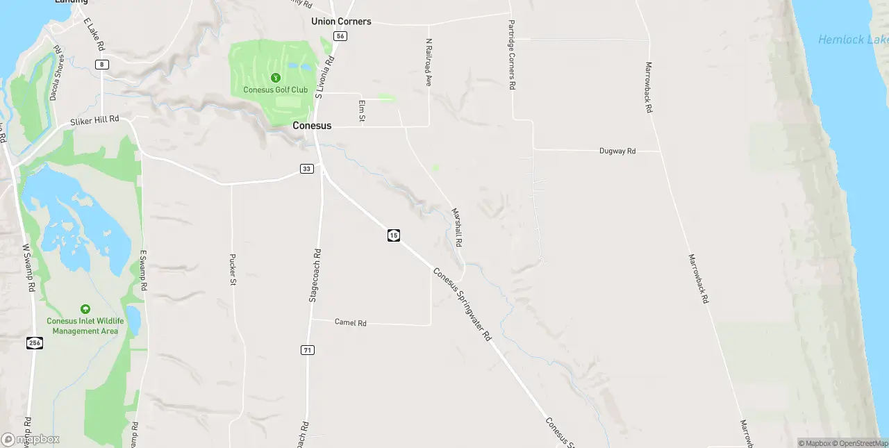 Internet in Conesus