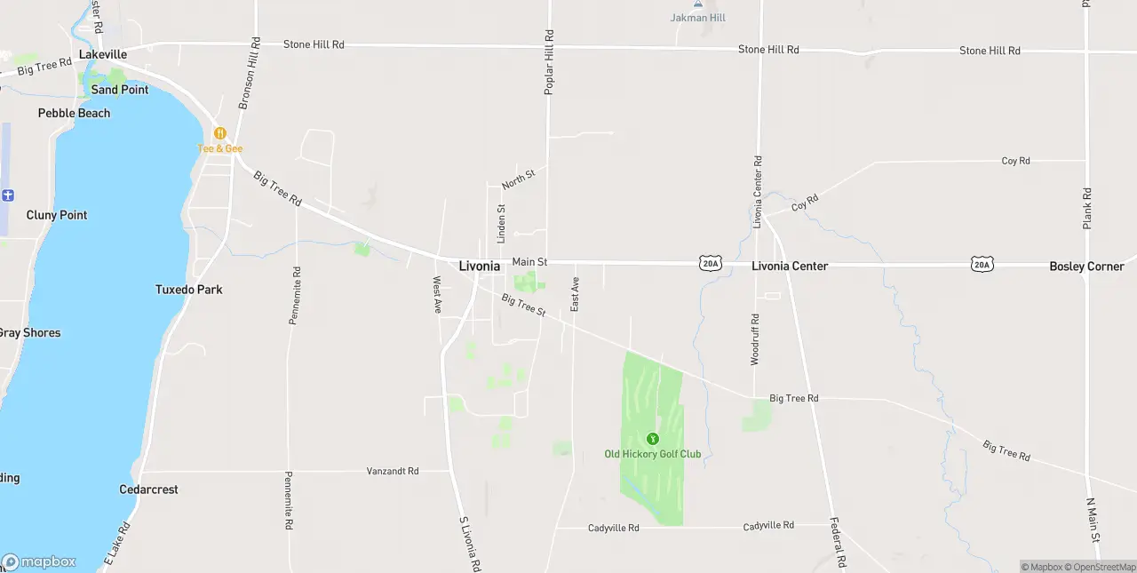 Internet in Livonia