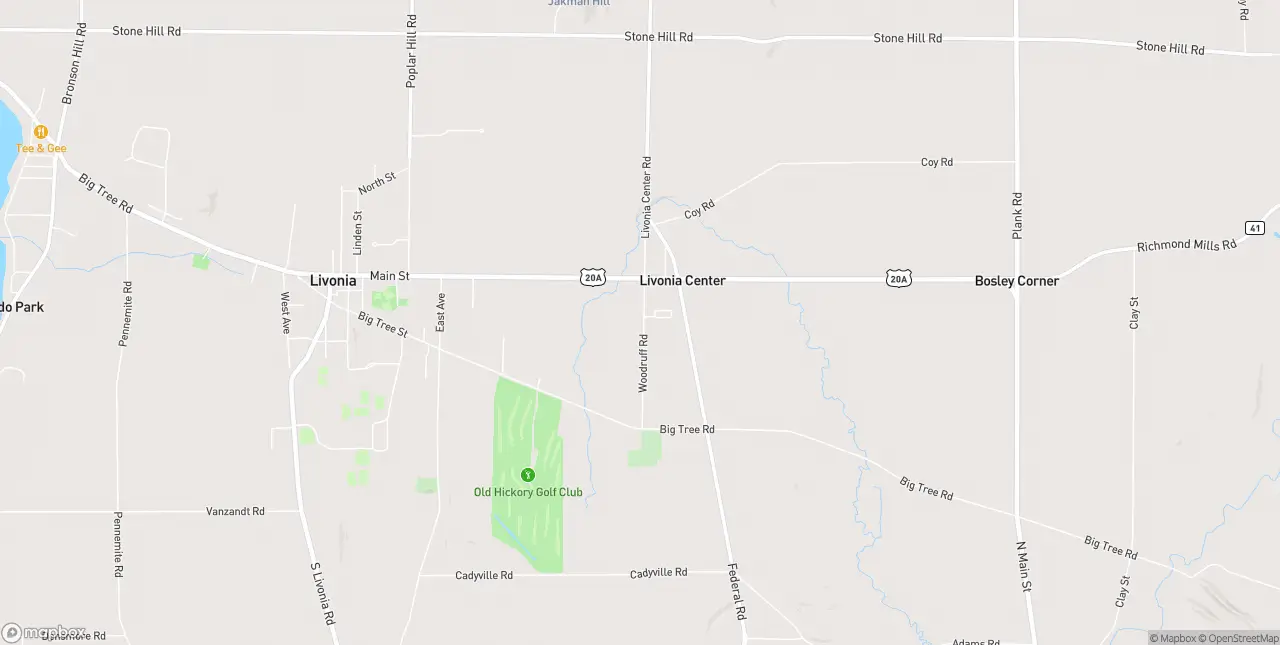 Internet in Livonia Center