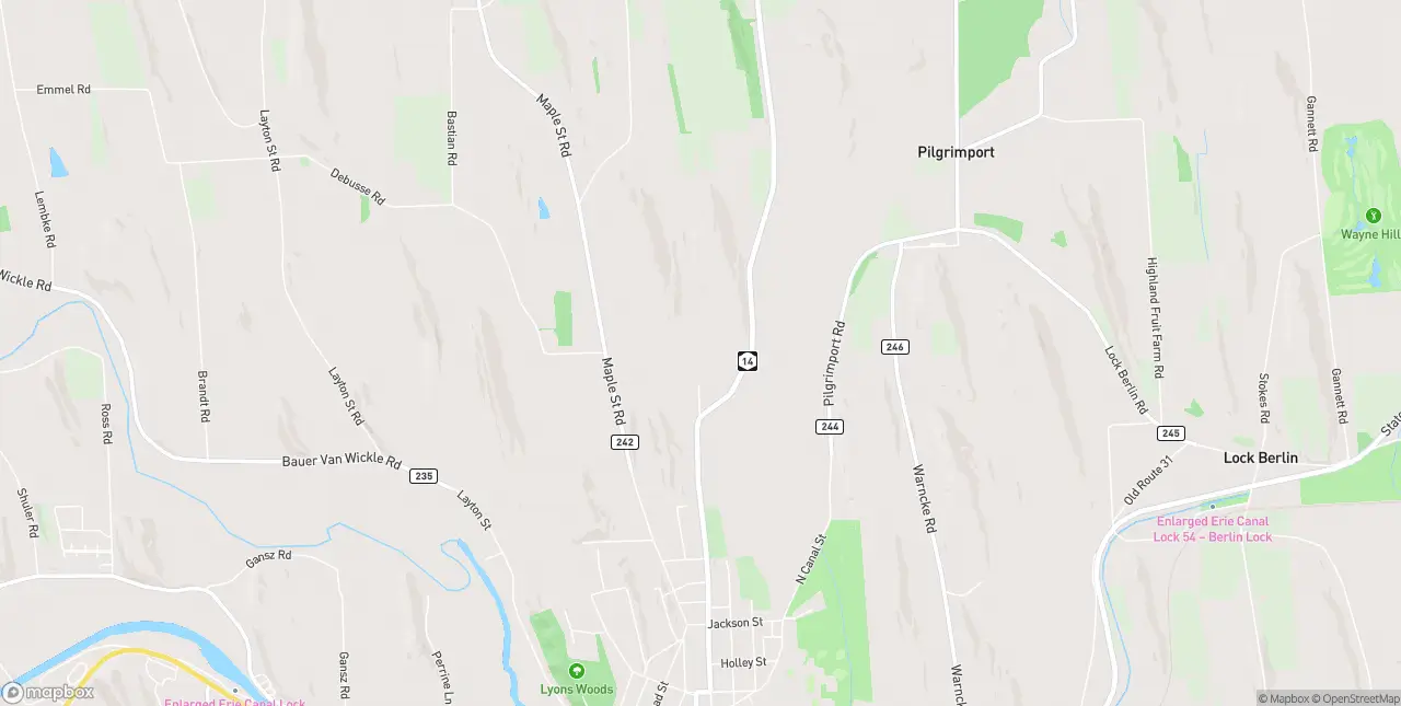 Internet in Lyons