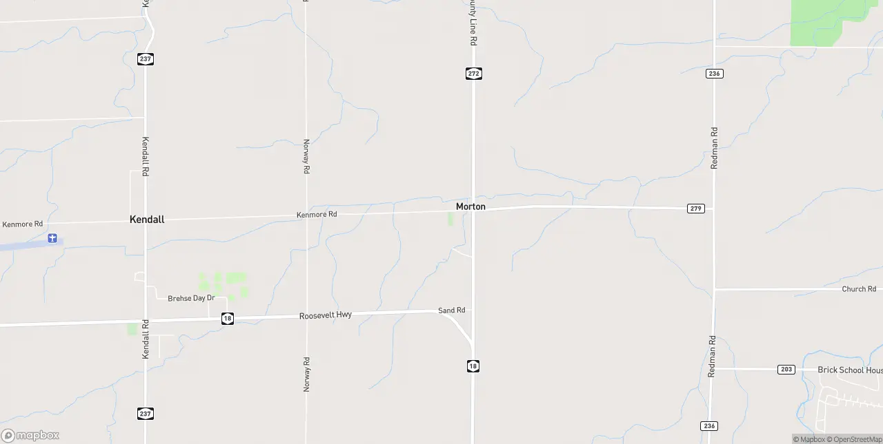 Internet in Morton