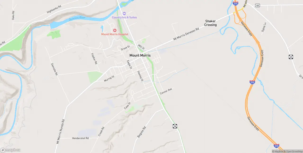 Internet in Mount Morris