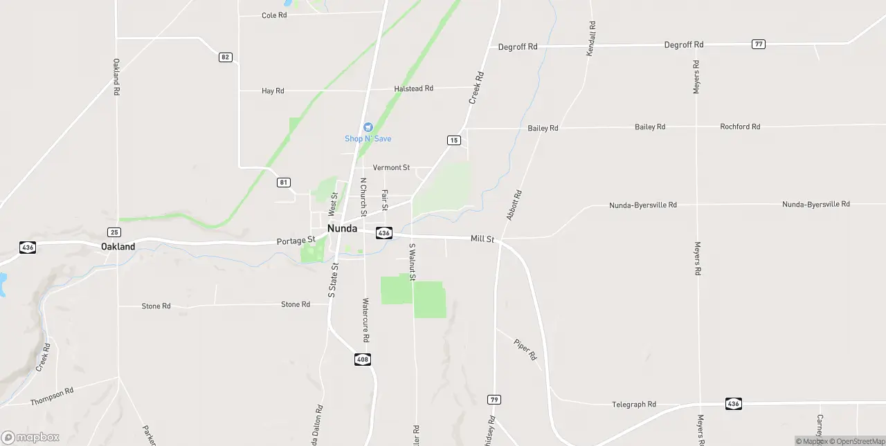 Internet in Nunda