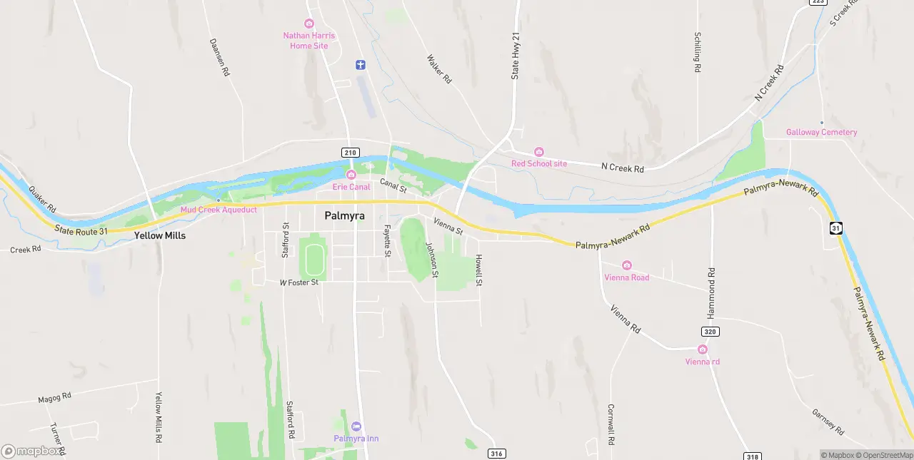 Internet in Palmyra