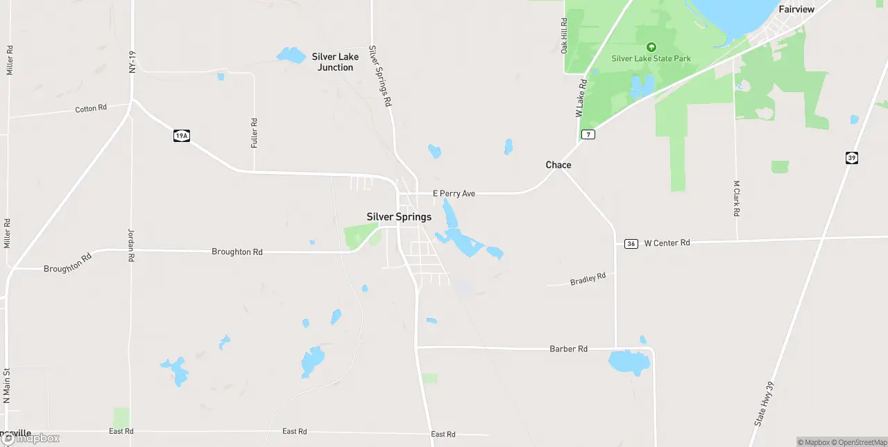 Internet in Silver Springs
