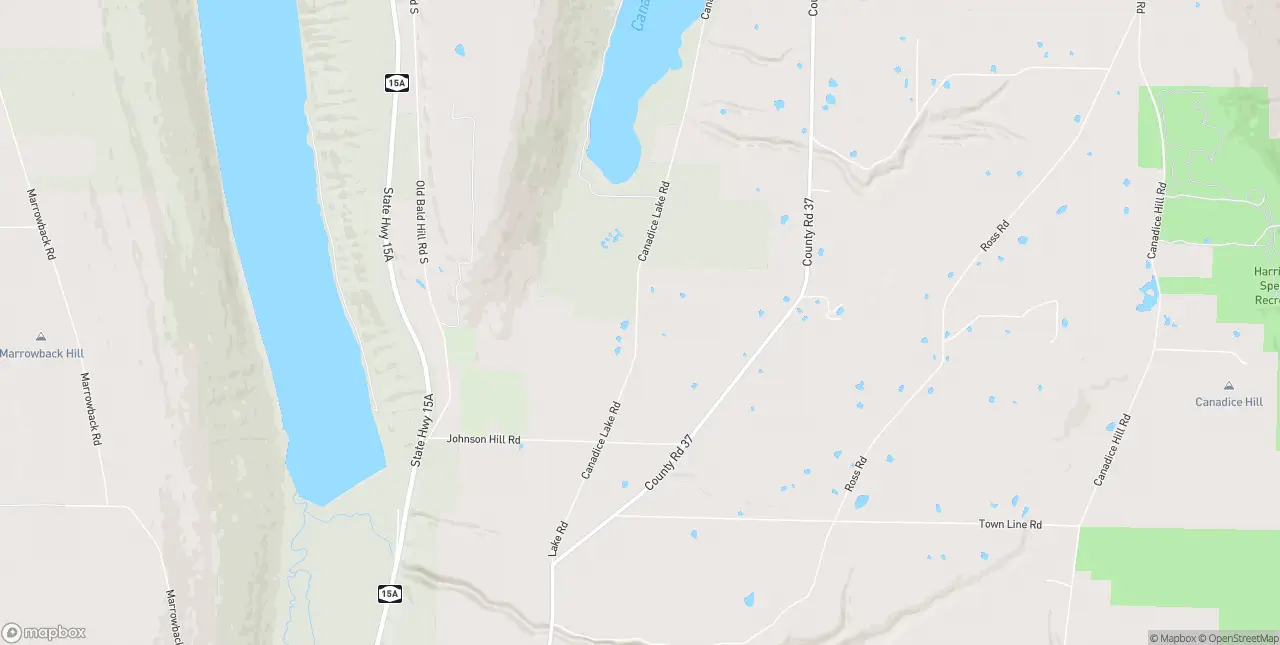 Internet in Springwater