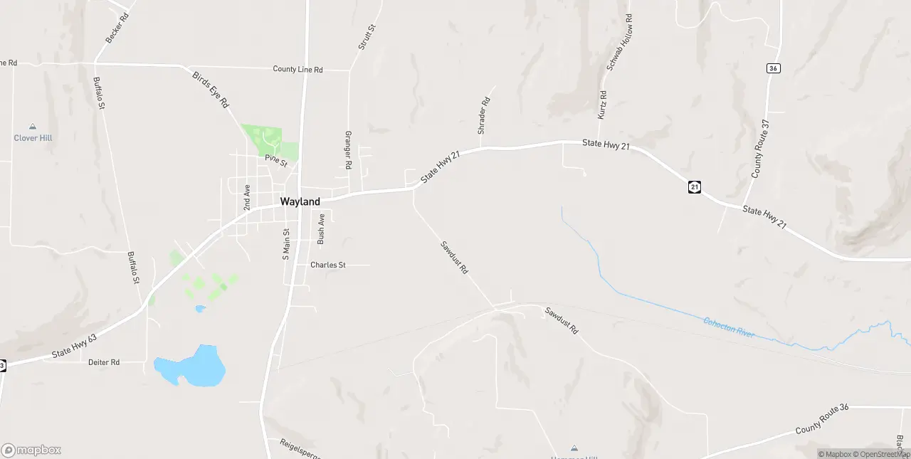 Internet in Wayland