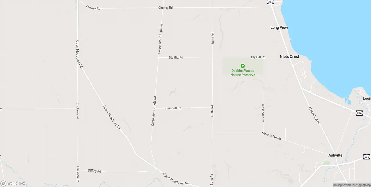 Internet in Ashville