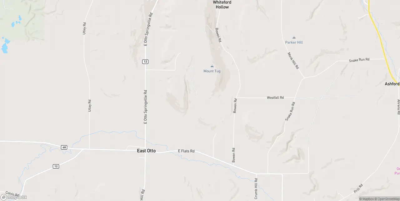 Internet in East Otto