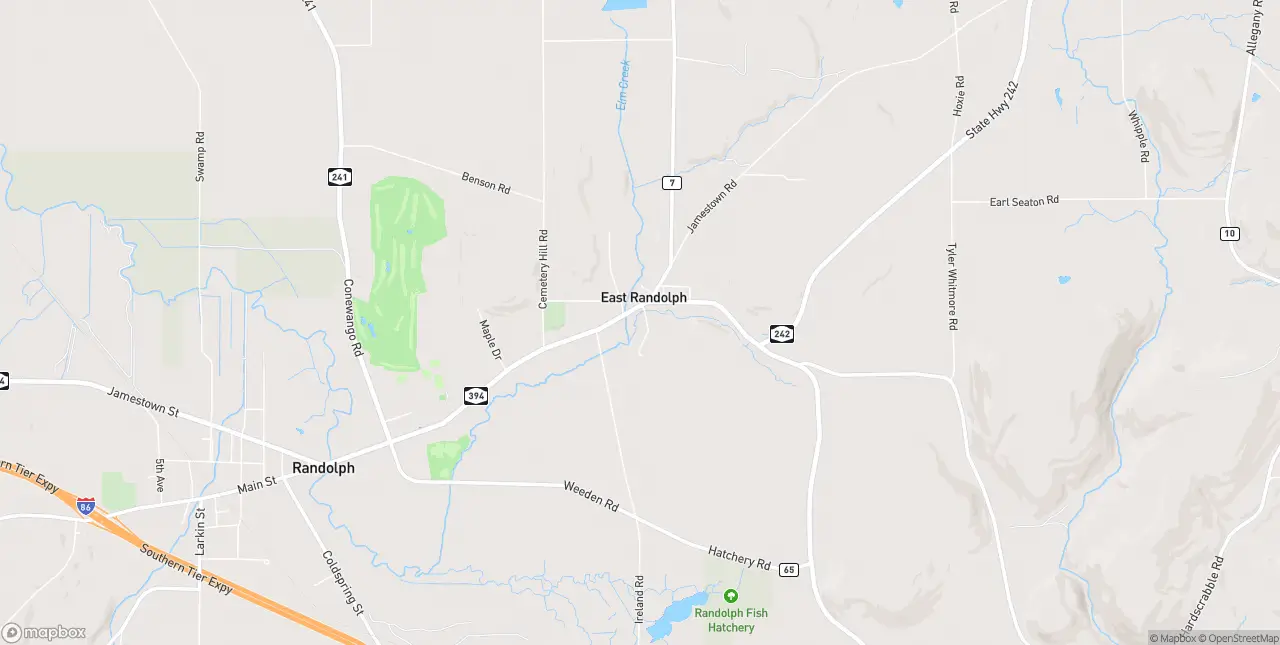 Internet in East Randolph