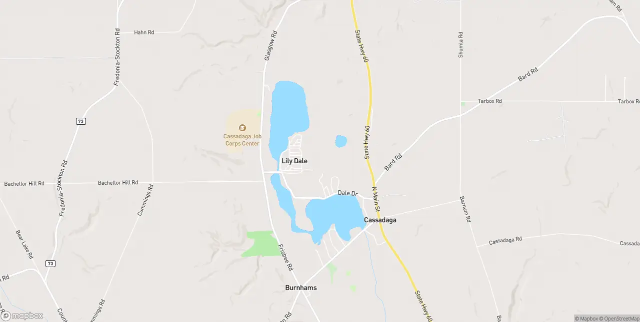 Internet in Lily Dale