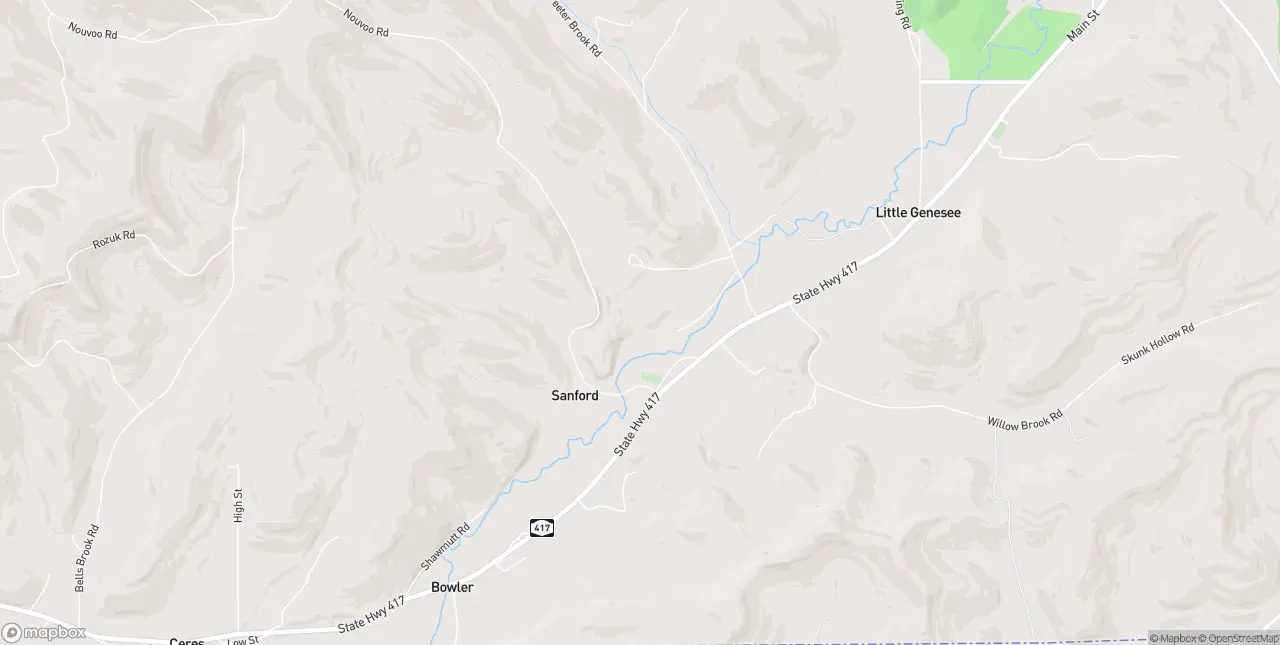 Internet in Little Genesee