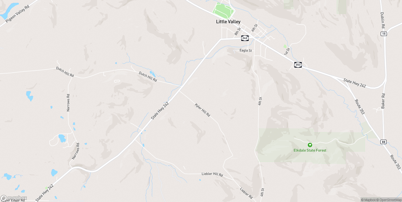 Internet in Little Valley - 14755