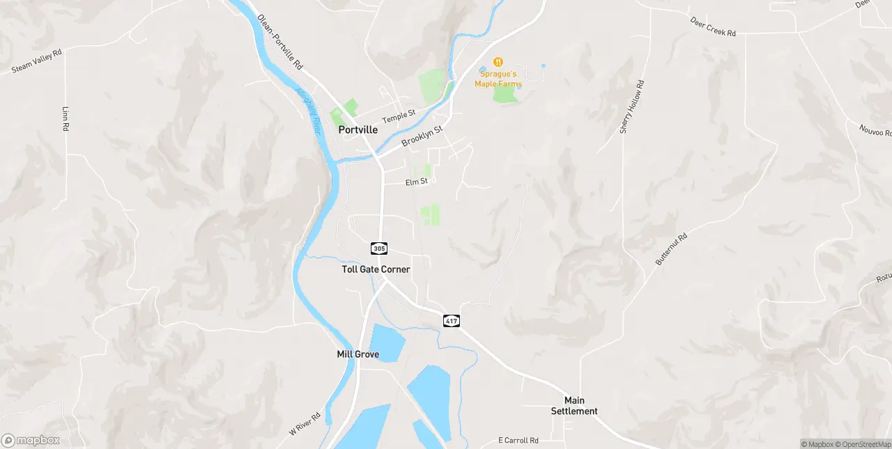 Internet in Portville