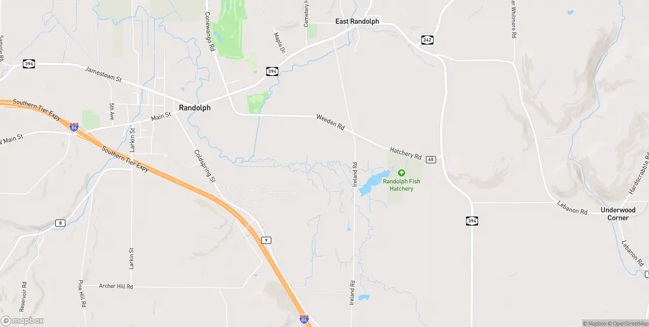 Internet in Randolph