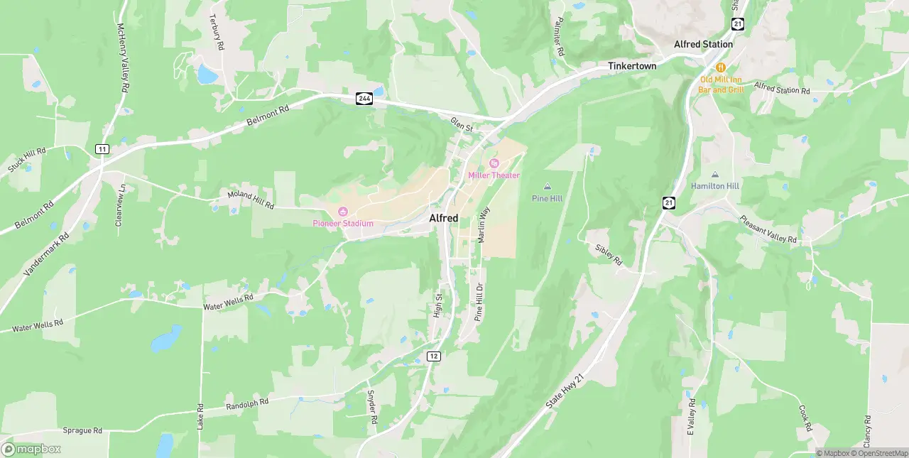 Internet in Alfred