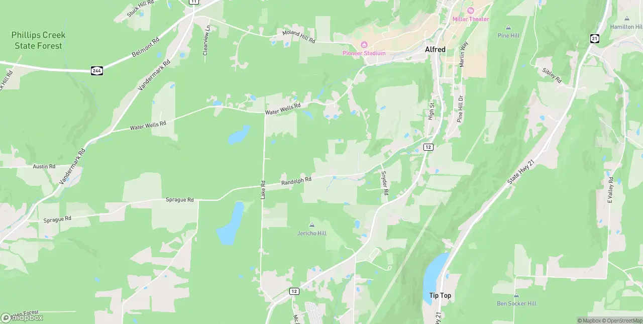 Internet in Alfred Station
