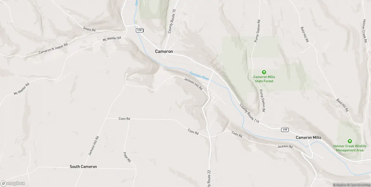 Internet in Cameron